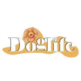 Maltipoo-Sevecen ve Neşeli Bir Dost Arayanlar İçin Mükemmel Seçim