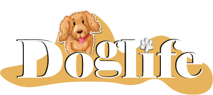 Doglife - Toy Poodle Üretim Çiftliği