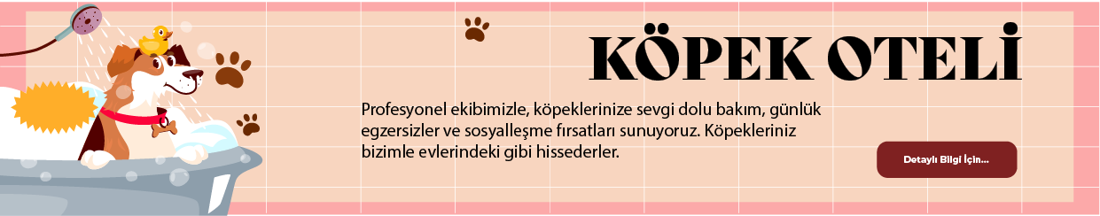 Köpek Oteli